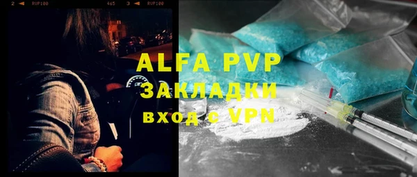 гидра Горнозаводск