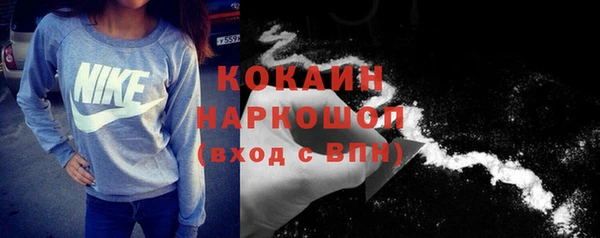 гидра Горнозаводск